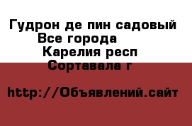 Гудрон де пин садовый - Все города  »    . Карелия респ.,Сортавала г.